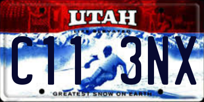 UT license plate C113NX