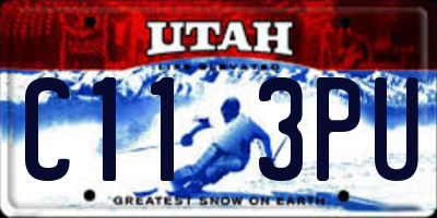 UT license plate C113PU