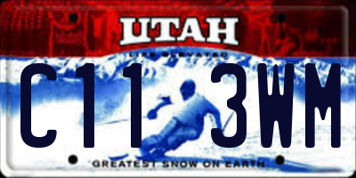 UT license plate C113WM