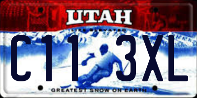 UT license plate C113XL