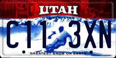 UT license plate C113XN
