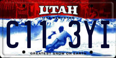 UT license plate C113YI