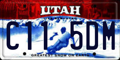 UT license plate C115DM