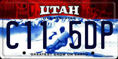 UT license plate C115DP
