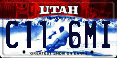 UT license plate C116MI