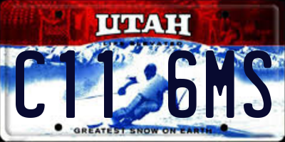 UT license plate C116MS