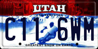 UT license plate C116WM