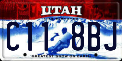 UT license plate C118BJ