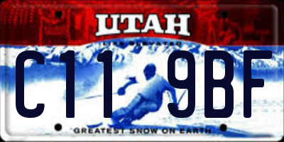 UT license plate C119BF