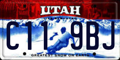 UT license plate C119BJ
