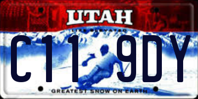 UT license plate C119DY