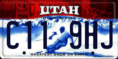 UT license plate C119HJ