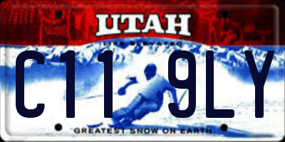 UT license plate C119LY
