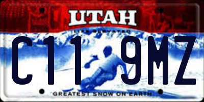 UT license plate C119MZ