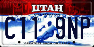 UT license plate C119NP