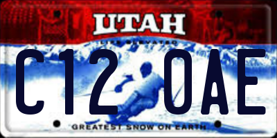 UT license plate C120AE