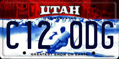 UT license plate C120DG