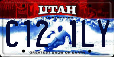 UT license plate C121LY