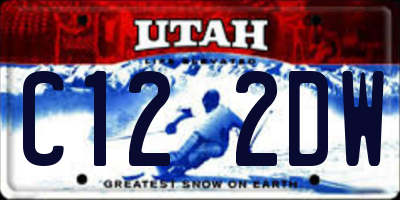 UT license plate C122DW