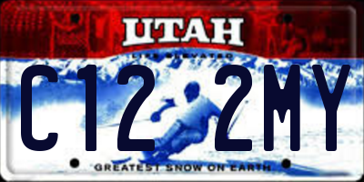 UT license plate C122MY