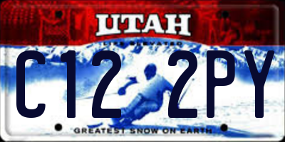 UT license plate C122PY