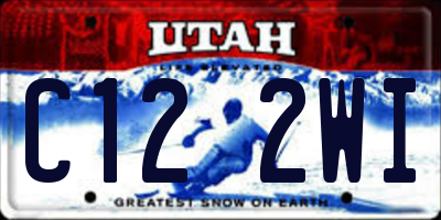 UT license plate C122WI