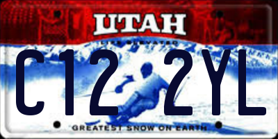 UT license plate C122YL