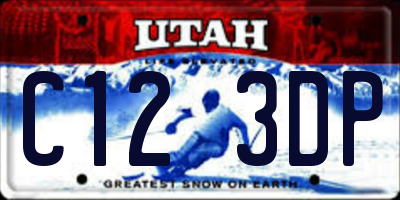 UT license plate C123DP