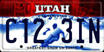 UT license plate C123IN
