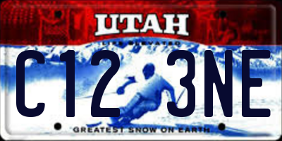 UT license plate C123NE