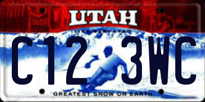 UT license plate C123WC