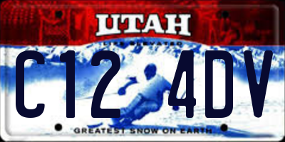 UT license plate C124DV