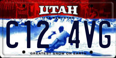 UT license plate C124VG