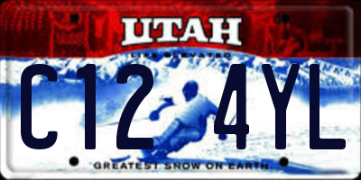 UT license plate C124YL