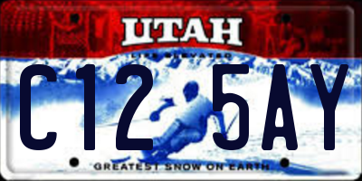 UT license plate C125AY