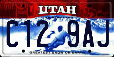 UT license plate C129AJ