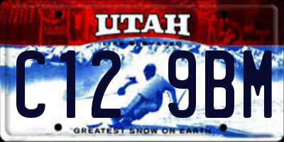 UT license plate C129BM