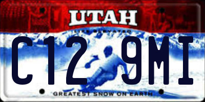 UT license plate C129MI