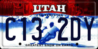 UT license plate C132DY