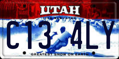 UT license plate C134LY