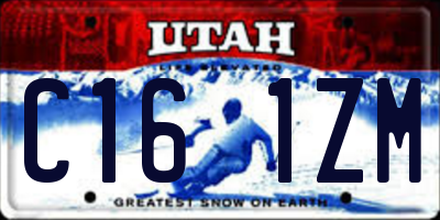 UT license plate C161ZM