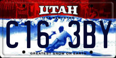 UT license plate C163BY