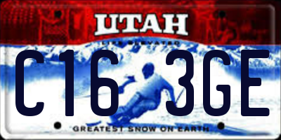 UT license plate C163GE