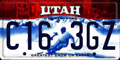 UT license plate C163GZ