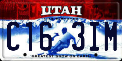 UT license plate C163IM