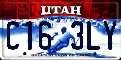 UT license plate C163LY