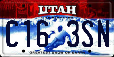 UT license plate C163SN