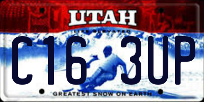 UT license plate C163UP
