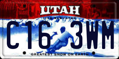 UT license plate C163WM