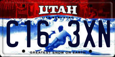 UT license plate C163XN